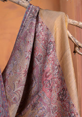 Pashmina Zari Jamawar Shawl D#104 - Multi