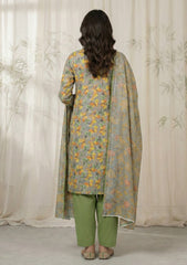 Lawn - Rubaaiyat - Chikankari 26 - Organza Dupatta - D#01 - D Grey