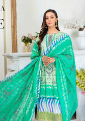 Winter Collection - Aalaya - Marjjan - AM#06