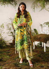 Winter - Naqsh - Bloom & Vogue 25 - NB#00162 - Lime Peel