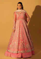 Formals - Aylin - Silk Edit - Unstitched 25 - Petal Bloom