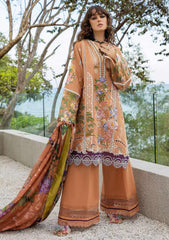 Lawn - Esmel - Nouveau Chapitre - Solea