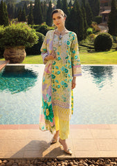 Lawn Collection - Elaf - Print Chikankari 24 - ECT-06B - Misty Serenade