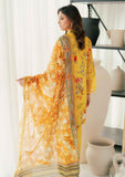 Winter Collection - Al Zohaib - Sunshine Bloom - Cotton Silk -ALCS24#04