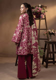 Winter Collection - Humdum - Raya - HR24#01