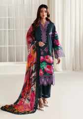 Winter - Naqsh - Zyrah 25 - D#182 - ZINC