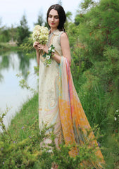 Lawn - Mushq - Hemline Secret Garden 26 - Beyond The Trail Of Petals - MB#406 - Nocturne Flora