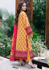 Lawn - Asim Jofa - Essential 25 - Vol-06 - AJUUB-36