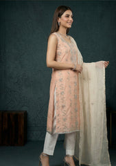 Formals - Riwaj - Fancy 26 - Gotta Work - 2 Pcs - D#03 - Beige & Peach