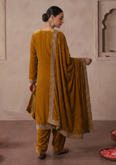 Winter - Riwaj - Velvet Stone Work 3 Pcs Suit - D#05 - Brown