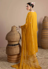 Winter - Humdum - Mushak - Embroidered Karandi 26 - D#05
