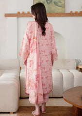 Winter - Humdum - Layla Karandi 25 - LK#02