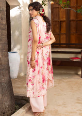 Winter - Humdum - Zaiba - Karandi 25 - D#07