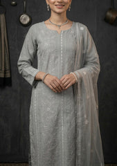 Formals - Riwaj - Fancy 26 -  Ari & Mukesh Work - 2 Pcs - D#01 - D Grey