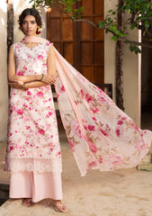 Winter - Humdum - Zaiba - Karandi 25 - D#07