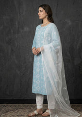 Formals - Riwaj - Fancy 26 -  Thread Work - 2 Pcs - D#03 - L Zink