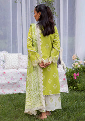 Winter - Mahnur - Gardenia - Khaddar 25 - GR#03