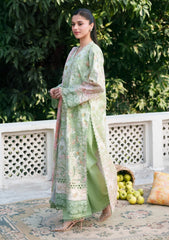 Lawn - Neeshay - Summer Lines - PrintnKari 26 - VERNA