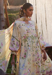 Lawn - Zaha - Meili Festive 26 - ZL#12B - JIĀ