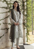 Winter Collection - Al Zohaib - Sunshine Bloom 24 - ALSB24#06