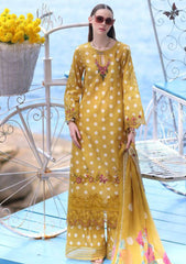 Lawn Collection - Noor - Saadia Asad - Luxe Printkari - NSL24#6-B