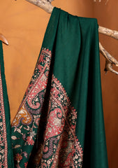 Pashmina Embroidered Jaaldar Shawl D#05 - D Green