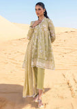 Lawn Collection - Cross Stitch - Eid Lawn 2 - SL24#22 - Ivy Verdell