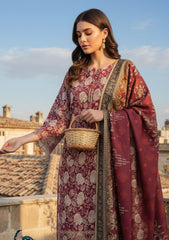 Winter - Riwaj - Printed Marina - 3 Pcs - Wool Shawl 25 - D#24