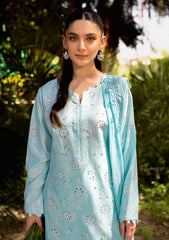 Lawn Collection - Neeshay - Summer Lines - Printkari - NP24#02 - Oasis