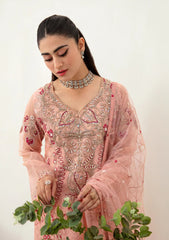 Formal Collection - Ramsha - Minhal - D#1007