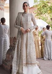 Formal Collection - Afrozeh - Dastangoi - Wedding - Noori - D#02
