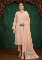 Formals - Riwaj - Fancy Net - 2 Pcs Suit - CND#03 - L Peach