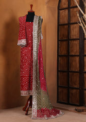 Formals - Bahawalpur Pehnawa - Silk - 2 Piece - D#04