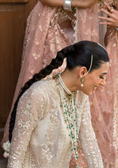 Formal Collection - Afrozeh - Dastangoi - Wedding - Noori - D#02