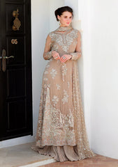 Formals - Mushq - Bachelorette Chronicles Chiffon 26 - D#106 - Pretty Rebel
