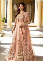 Formals - Mushq - Darlings - Wedding 25 - MWD#105 - NAINA
