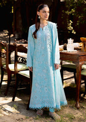 Lawn Collection - Neeshay - Summer Lines - Printkari - NP24#02 - Oasis