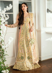 Formals - Mushq - Shaam Shandar - Chiffon 25 - SUR SUNEHRI