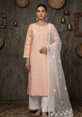 Formals - Riwaj - Fancy 26 -  Thread Work - 2 Pcs - D#01 - Beige