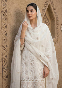 Formals - Bahawalpur Pehnawa - Georgette Chiffon - 2 piece - JC#07