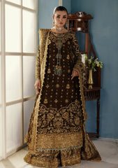 Formals - Aik Atelier - Udaipur - Luxury Velvet 25 - Look#01