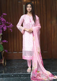 Winter Collection - Madiha Jahangir - Gulmira - Cambric - 3 pcs - D#07