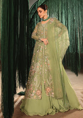 Formals - Crimson - Jhilmil Wedding 26 - CW-D#05 - MATWALI