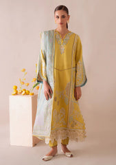 Winter - Aabyaan - Miraal - Signature Viscose 25 - AV#02 - MEHRA