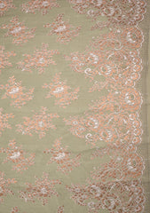 Zari Net Chantilly Lace - ASPL#95