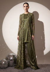 Fancy Chantilly Lace Saree - Olive Green