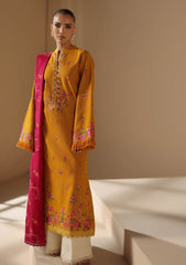 Winter Collection - Rajbari - Nissa - RBN24#12