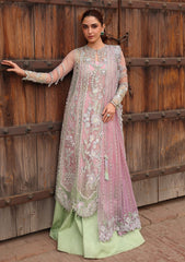 Formals - Crimson - Jhilmil Wedding 26 - CW-D#04 - TILSAM