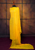 Winter Collection - Riwaj - Bamber Chikankari W/ Mukesh Work - Yellow