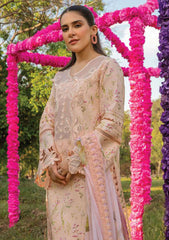 Lawn Collection - Rang Rasiya - Carnation Festive Edit - RC24#04 - LILY